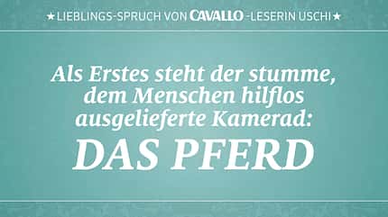 CAV Reitersprüche 18