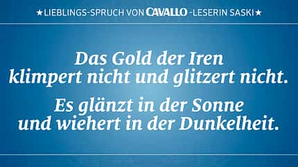 CAV Reitersprüche 29