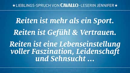 CAV Reitersprüche 8