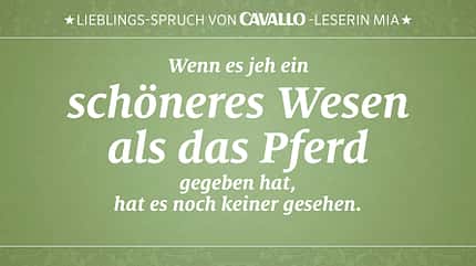 CAV Reitersprüche 27