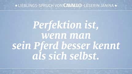 CAV Reitersprüche 30