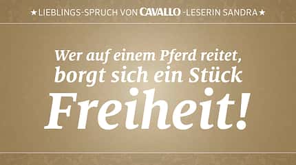 CAV Reitersprüche 17