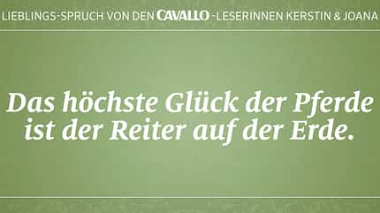 CAV Reitersprüche 6