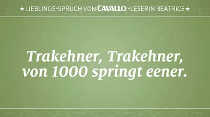 CAV Reitersprüche 13