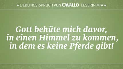 CAV Reitersprüche 20