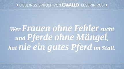 CAV Reitersprüche 2