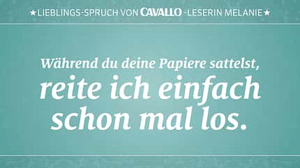 CAV Reitersprüche 25