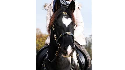 CAV Blesse Abzeichen Leserfotos - Celina Kanzok CAV Blesse Abzeichen Leserfotos - Celina Kanzok