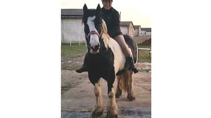 CAV Blesse Abzeichen Leserfotos - Brit Schreck CAV Blesse Abzeichen Leserfotos - Brit Schreck