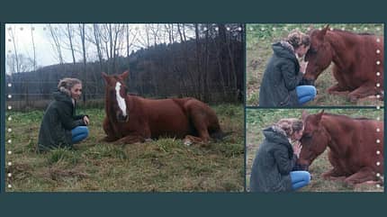 CAV Blesse Abzeichen Leserfotos - Marie-Christin Siegl CAV Blesse Abzeichen Leserfotos - Marie-Christin Siegl