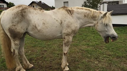 CAV Mimik Grimassen Leserfotos Anja Hanusch CAV Mimik Grimassen Leserfotos Anja Hanusch