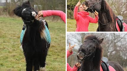 CAV Mimik Grimassen Leserfotos Krissi Eckhardt CAV Mimik Grimassen Leserfotos Krissi Eckhardt