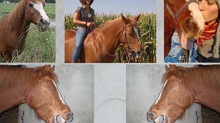 CAV Mimik Grimassen Leserfotos Mareike Hoffmann CAV Mimik Grimassen Leserfotos Mareike Hoffmann