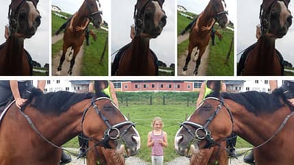 CAV Mimik Grimassen - Sabine SL CAV Mimik Grimassen - Sabine SL