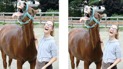CAV Mimik Grimassen Leserfotos Monika Hintner CAV Mimik Grimassen Leserfotos Monika Hintner