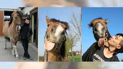 CAV Mimik Grimassen - Maria Bärwinkel CAV Mimik Grimassen - Maria Bärwinkel