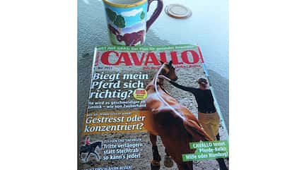CAV Wo Reiter lesen Leserfotos 3 CAV Wo Reiter lesen Leserfotos 3