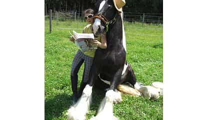 CAV Wo Reiter lesen Leserfotos 2 CAV Wo Reiter lesen Leserfotos 2