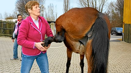 CAV Osteopathie Welter-Böller 9 CAV Osteopathie Welter-Böller 9