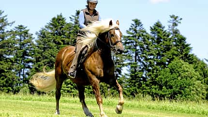 CAV Intervalltraining Aufmacher CAV Intervalltraining Aufmacher