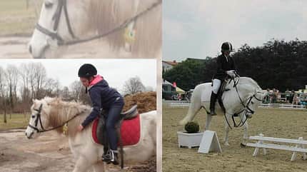 CAV Vorher Nachher Lesefotos Heidi Brodersen Salvador CAV Vorher Nachher Lesefotos Heidi Brodersen Salvador