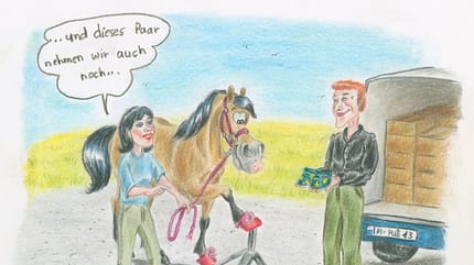 CAV Cavallo-Cartoon Kirsten Marizy Cartoon Karikatur 20 CAV Cavallo-Cartoon Kirsten Marizy Cartoon Karikatur 20