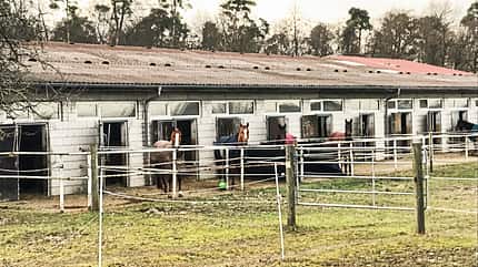 cav-201904-reitschultest-rheinzabern-stall-img3064-mit-TEASER-v-amendo (jpg) cav-201904-reitschultest-rheinzabern-stall-img3064-mit-TEASER-v-amendo (jpg)