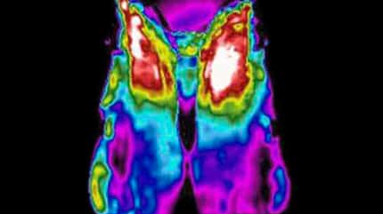 cav-201904-sattelmessung-17-sattel-thermogramm-horsemans-paradise-hfr-IBM-mit-680x330-v-amendo (jpg) cav-201904-sattelmessung-17-sattel-thermogramm-horsemans-paradise-hfr-IBM-mit-680x330-v-amendo (jpg)