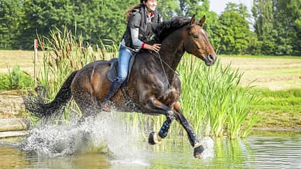 CAV Lisa Röckener reitet durch Wasser CAV Lisa Röckener reitet durch Wasser