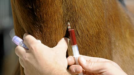 CAV Blutprobe Blut Spritze CAV Blutprobe Blut Spritze