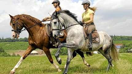 CAV Intervalltraining Tipp 4 CAV Intervalltraining Tipp 4