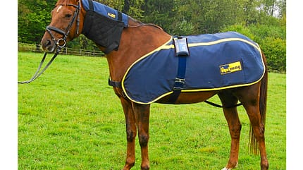 cav-magnetfeld-decken-basisset-equimag-hersteller (jpg) cav-magnetfeld-decken-basisset-equimag-hersteller (jpg)