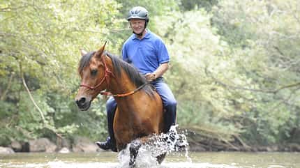 CAV Wasser Wasser-Training Stefan Valentin Horsemanship_21