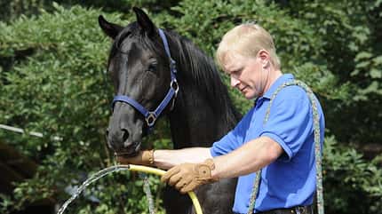 CAV Wasser Wasser-Training Stefan Valentin Horsemanship_09