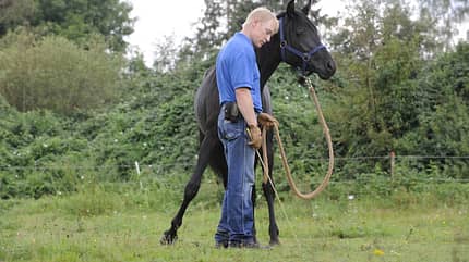 CAV Wasser Wasser-Training Stefan Valentin Horsemanship_05