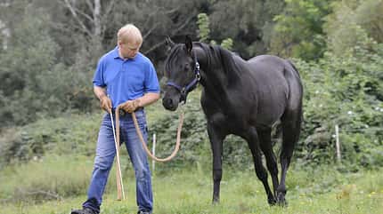 CAV Wasser Wasser-Training Stefan Valentin Horsemanship_01