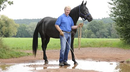 CAV Wasser Wasser-Training Stefan Valentin Horsemanship_13