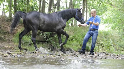 CAV Wasser Wasser-Training Stefan Valentin Horsemanship_17