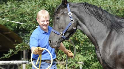 CAV Wasser Wasser-Training Stefan Valentin Horsemanship_12