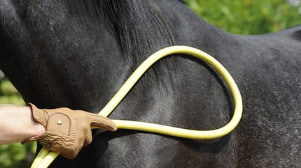 CAV Wasser Wasser-Training Stefan Valentin Horsemanship_11