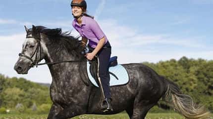 CAV Geländereiten Pferd Reiten CAV Geländereiten Pferd Reiten