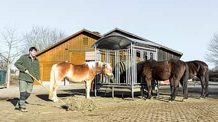 cav-201904-stallwechsel-lir1625-mit-TEASER-v-amendo (jpg) cav-201904-stallwechsel-lir1625-mit-TEASER-v-amendo (jpg)