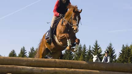 CAV Jagdreiten Marbach CAV Jagdreiten Marbach