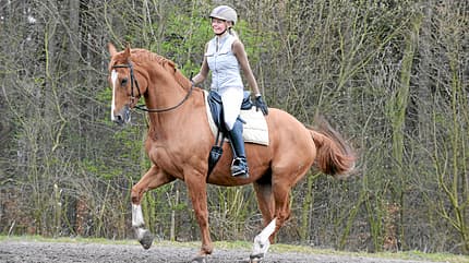cav-liebe-befluegelt-022017-gross-lir1028 (jpg) cav-liebe-befluegelt-022017-gross-lir1028 (jpg)