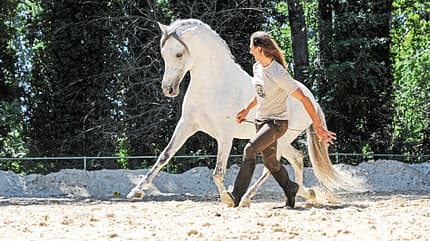 cav-liebe-befluegelt-022017-lir5925-v-amendo (jpg) cav-liebe-befluegelt-022017-lir5925-v-amendo (jpg)