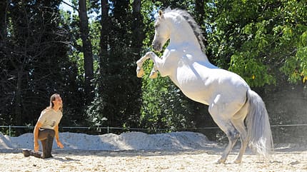 CAV Steigendes Pferd und Mann (nur 680er) CAV Steigendes Pferd und Mann (nur 680er)
