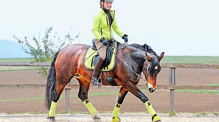 cav-201812-freiarbeit-lir7708-v-amendo (jpg) cav-201812-freiarbeit-lir7708-v-amendo (jpg)