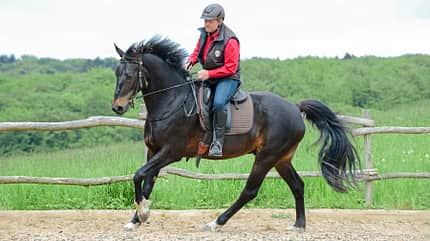 cav-201810-reitweisen-mixen-lir1414-v-amendo cav-201810-reitweisen-mixen-lir1414-v-amendo