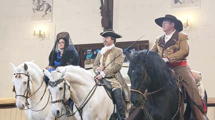 CAV Krischke Bosal CAV Krischke Bosal