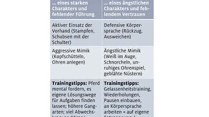 cav-201810-irrtuemer-pferdeverhalten-irrtum4 (jpg) cav-201810-irrtuemer-pferdeverhalten-irrtum4 (jpg)